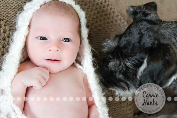 Connie Hanks Photography // ClickyChickCreates.com // newborn photography, baby photos, newborn girl, San Diego newborn photography, family photo session, family photography, baby girl, family, dog