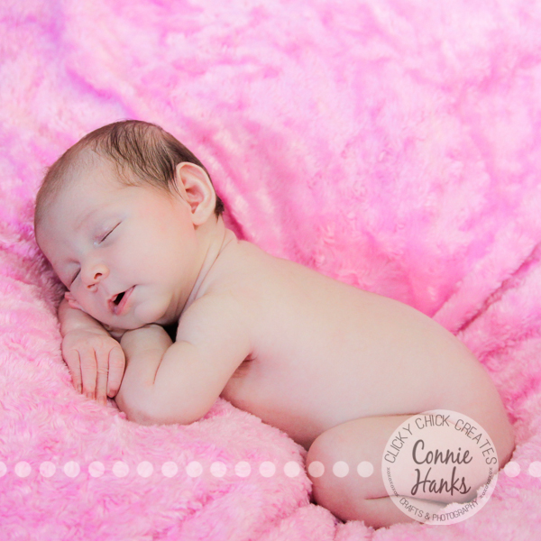Connie Hanks Photography // ClickyChickCreates.com // newborn photography, baby photos, newborn girl, San Diego newborn photography, family photo session, family photography, baby girl, family