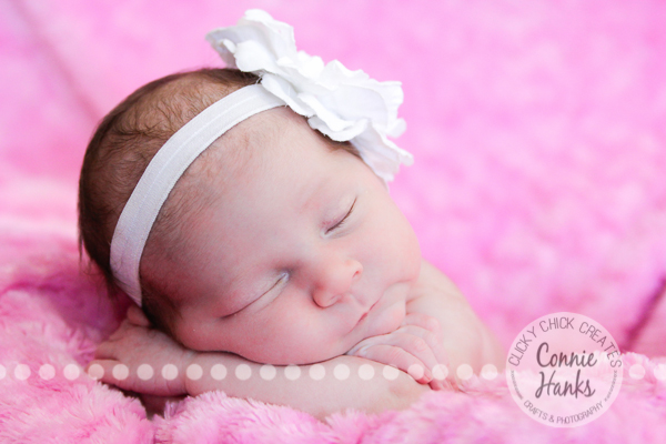 Connie Hanks Photography // ClickyChickCreates.com // newborn photography, baby photos, newborn girl, San Diego newborn photography, family photo session, family photography, baby girl, family