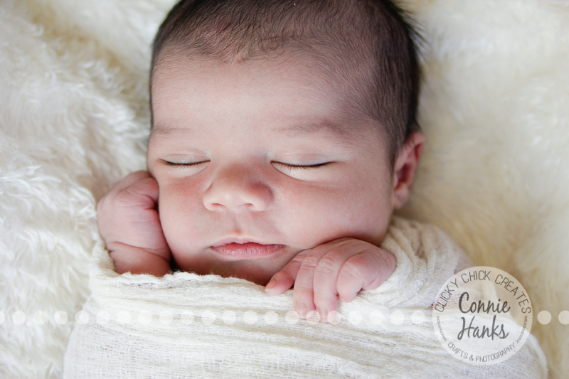 Connie Hanks Photography // ClickyChickCreates.com // newborn photography, baby photos, newborn boy, San Diego newborn photography, family photo session, family photography, baby boy, family