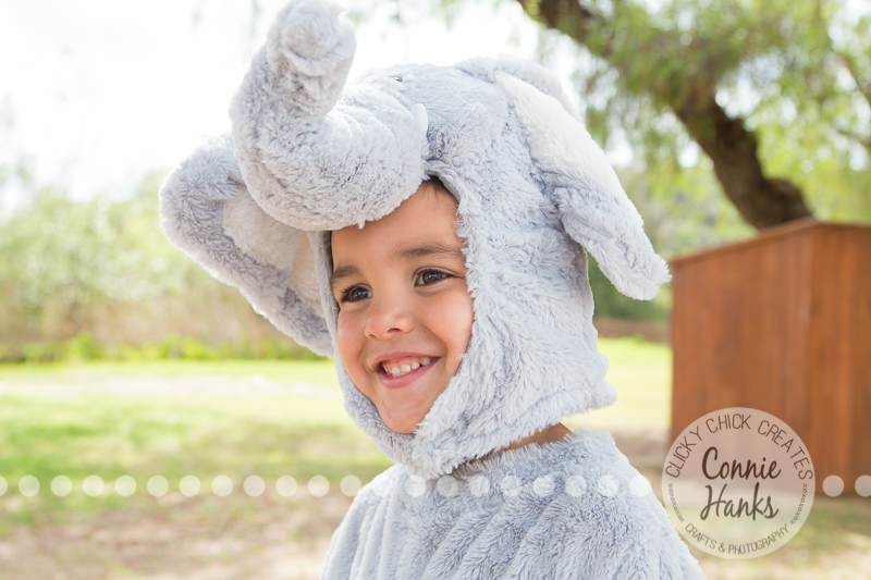 Connie Hanks Photography // ClickyChickCreates.com // family photos, San Diego family photography, family photo session, sibling photo session, rustic, Los Penasquitos Canyon Preserve, rustic, canyon, woodlands, trees, green